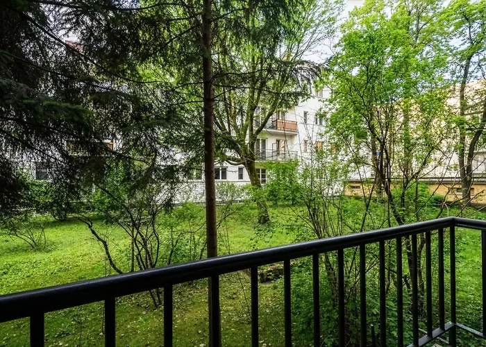 Daire Fabryczna, Sun & Snow